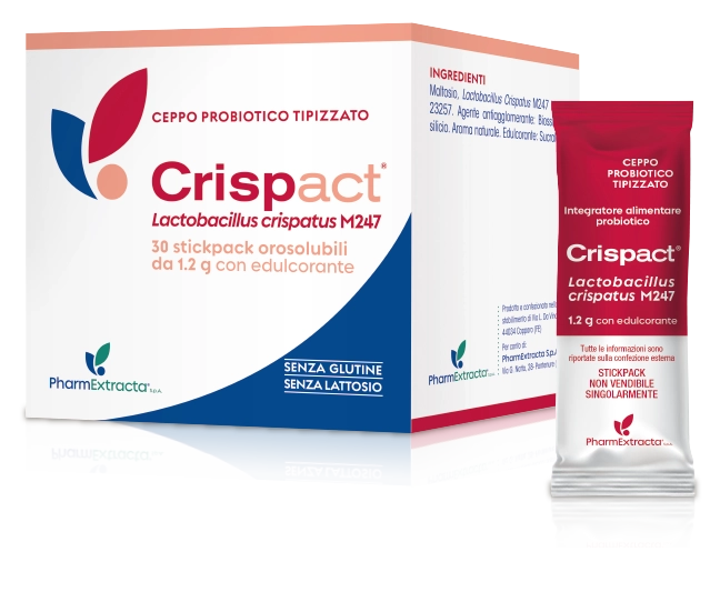 crispact-stick-2024