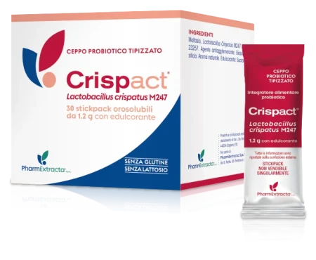 crispact-stick-2024